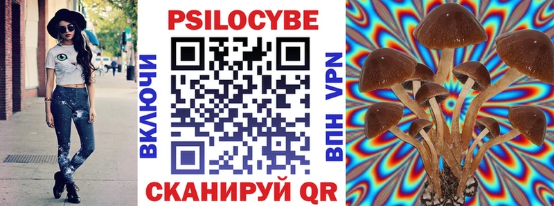 мега зеркало  цены   Рославль  Галлюциногенные грибы Psilocybe 