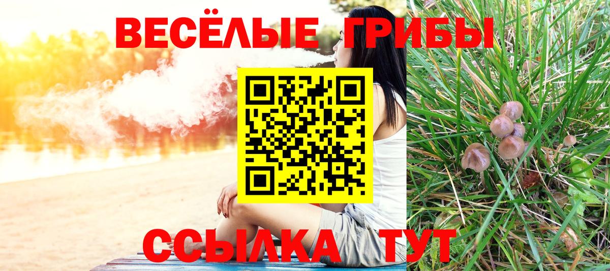Рославль  Галлюциногенные грибы прущие грибы  Вход с VPN 