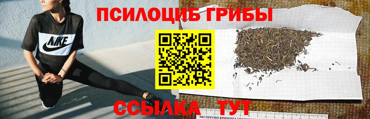 Псилоцибиновые грибы ЛСД  Псилоцибиновые грибы Cubensis  Рославль 