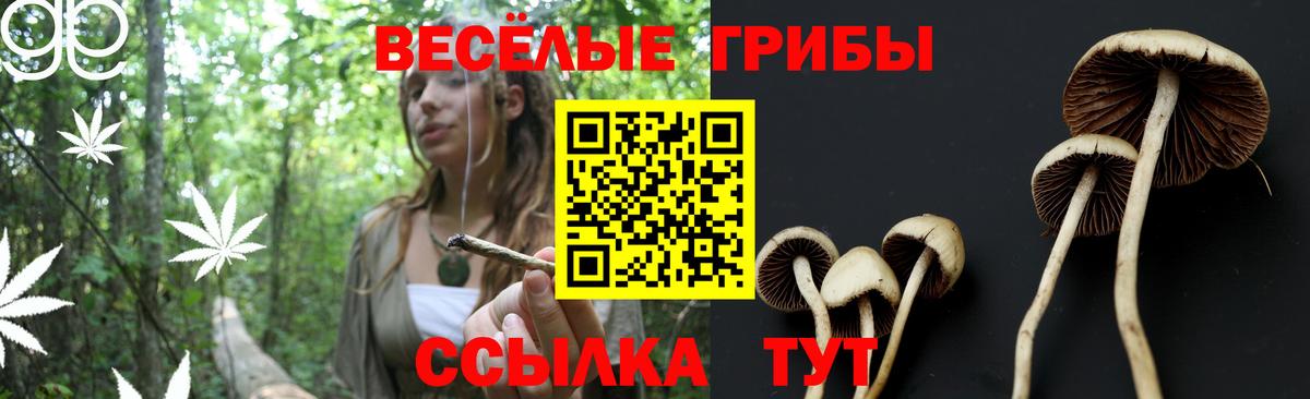 Экстази  Рославль  Кокаин  МЕФ   Марихуана  Alpha PVP СК кристаллы  ГАШИШ  МДМА 